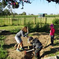 Naturkindergarten-Natur-Woelfle-Gartenarbeit